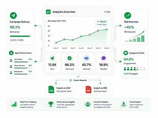 Analytics overview with delivery, ROI and engagement metrics